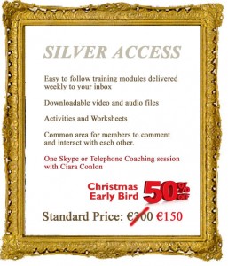 Silver Access To Get Set for Success