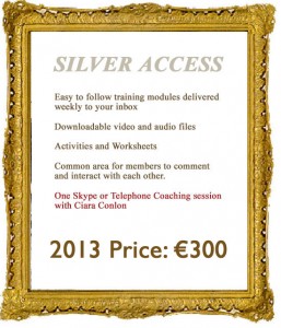 Silver Access Get Set For Success
