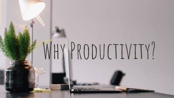 why productivity? why productivity?