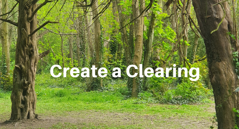 Create a Clearing Blog
